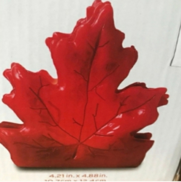 harvest LED light set 🍁 - Picture 4 of 5